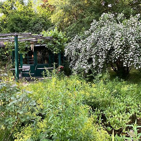 Design Ferienwohnung Mit Bauerngarten Waldkirchen Dış mekan fotoğraf