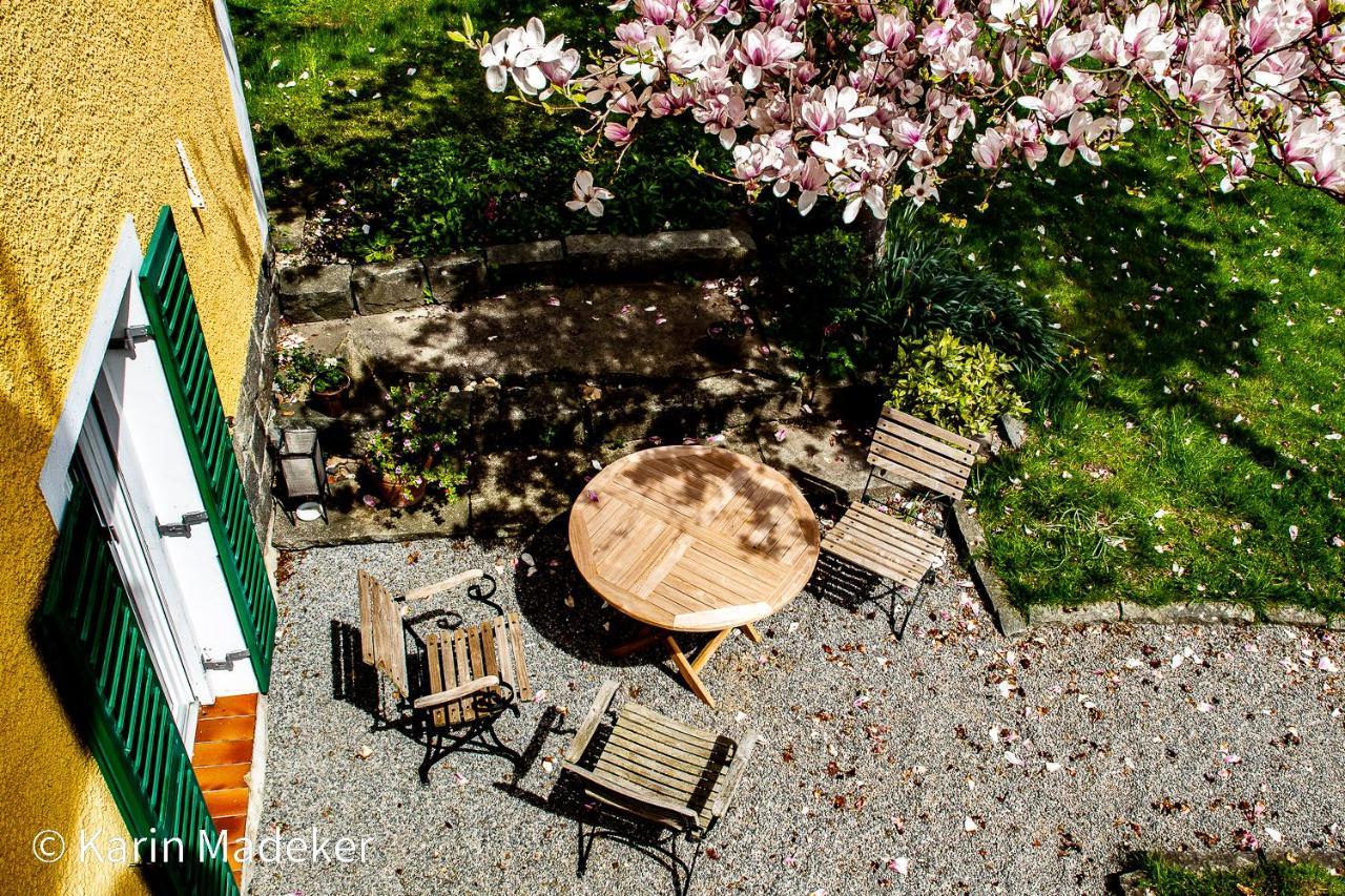 Design Ferienwohnung Mit Bauerngarten Waldkirchen Dış mekan fotoğraf