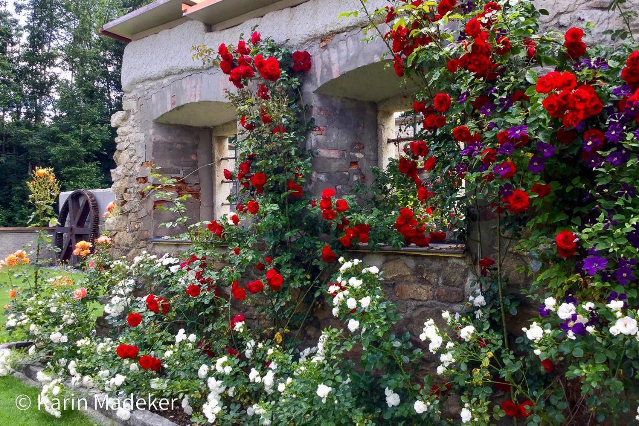 Design Ferienwohnung Mit Bauerngarten Waldkirchen Dış mekan fotoğraf
