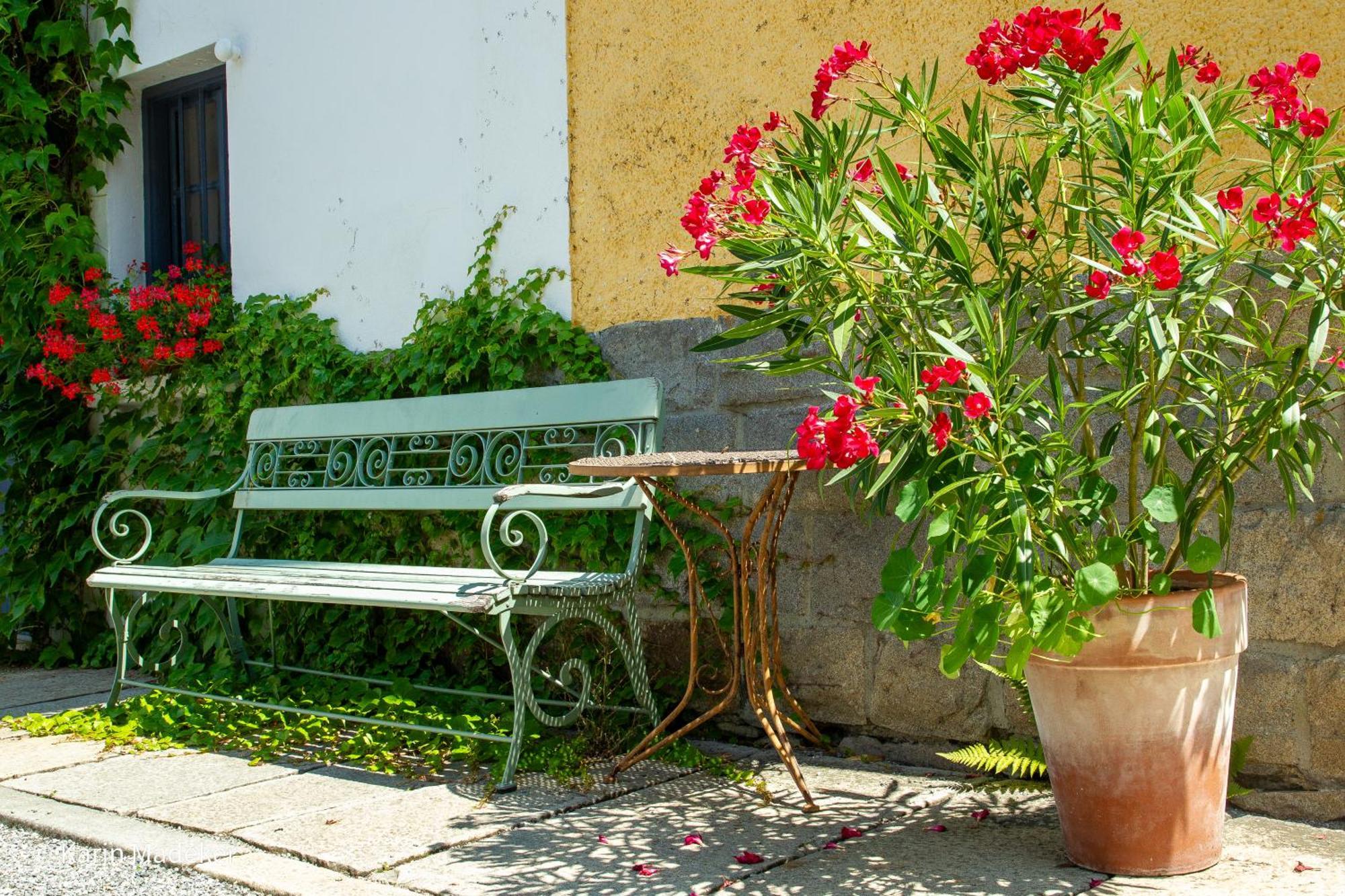 Design Ferienwohnung Mit Bauerngarten Waldkirchen Dış mekan fotoğraf