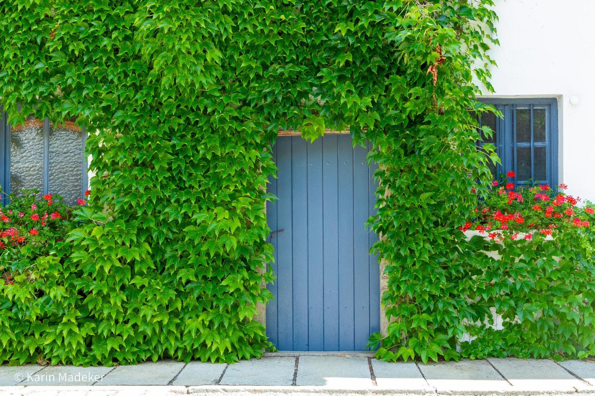 Design Ferienwohnung Mit Bauerngarten Waldkirchen Dış mekan fotoğraf