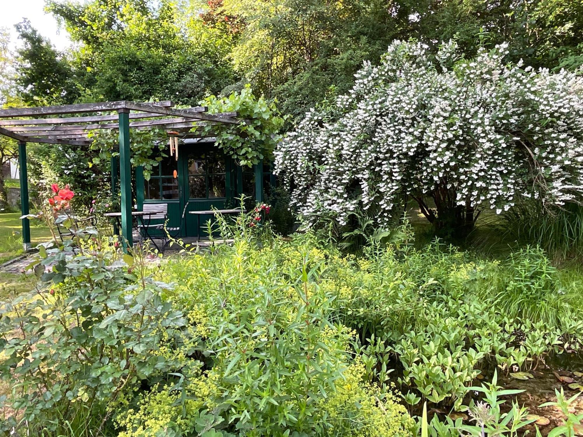 Design Ferienwohnung Mit Bauerngarten Waldkirchen Dış mekan fotoğraf