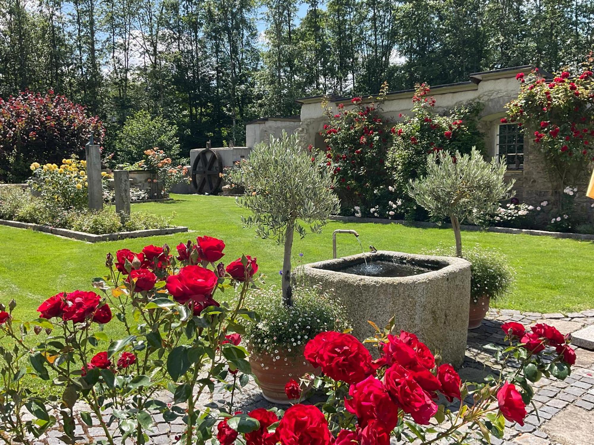 Design Ferienwohnung Mit Bauerngarten Waldkirchen Dış mekan fotoğraf
