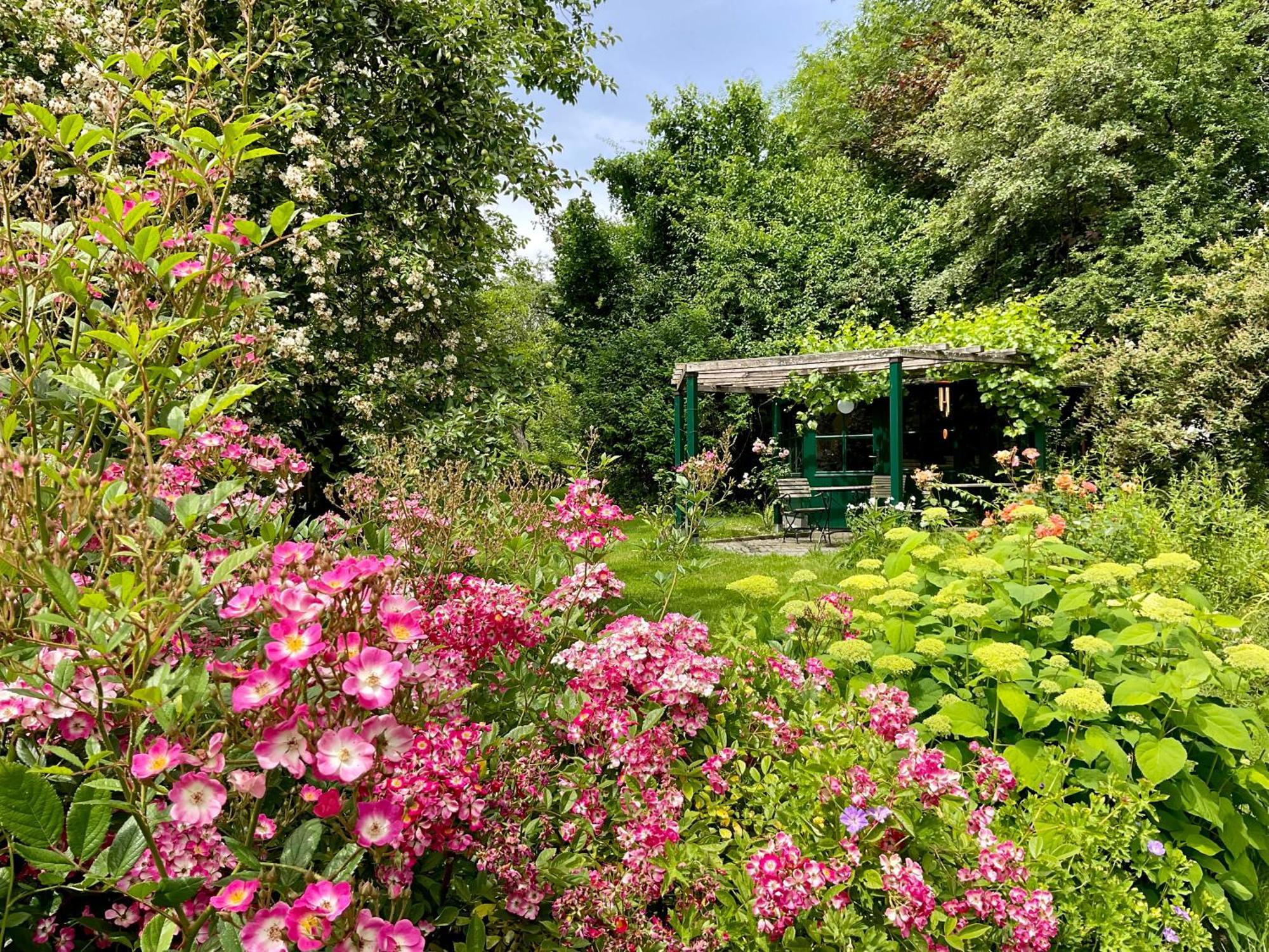 Design Ferienwohnung Mit Bauerngarten Waldkirchen Dış mekan fotoğraf