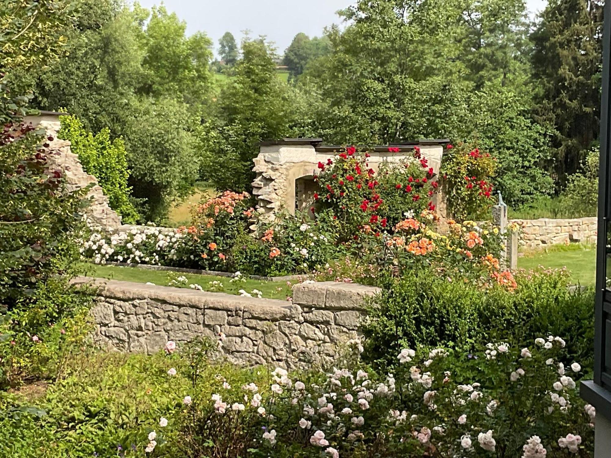 Design Ferienwohnung Mit Bauerngarten Waldkirchen Dış mekan fotoğraf
